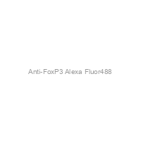 Anti-FoxP3 Alexa Fluor488